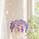 Mini purple beaded plant hanging by a sunny window