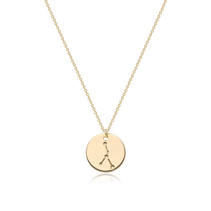  Constellation Coin Pendant Necklace in 14K Gold Plated - friendship necklace gift from Bestie Keepsake
