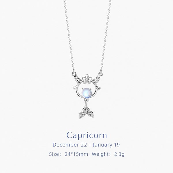  Celestial Zodiac Sterling Silver Necklace - friendship necklace gift from Bestie Keepsake