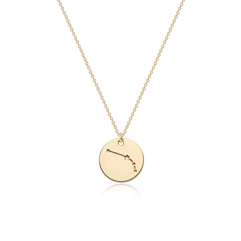  Constellation Coin Pendant Necklace in 14K Gold Plated - friendship necklace gift from Bestie Keepsake