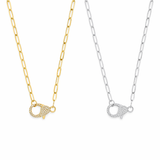 Two necklaces, one gold and one silver, with similar pendants 