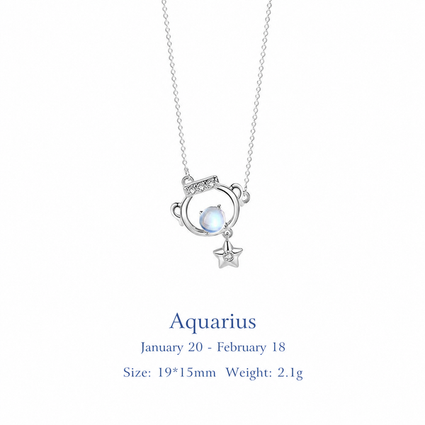  Celestial Zodiac Sterling Silver Necklace - friendship necklace gift from Bestie Keepsake