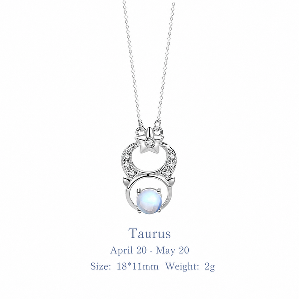  Celestial Zodiac Sterling Silver Necklace - friendship necklace gift from Bestie Keepsake