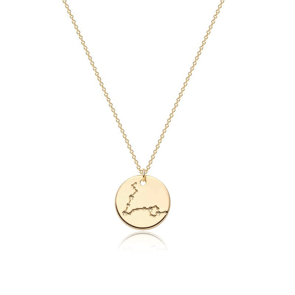  Constellation Coin Pendant Necklace in 14K Gold Plated - friendship necklace gift from Bestie Keepsake