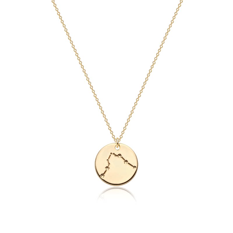  Constellation Coin Pendant Necklace in 14K Gold Plated - friendship necklace gift from Bestie Keepsake