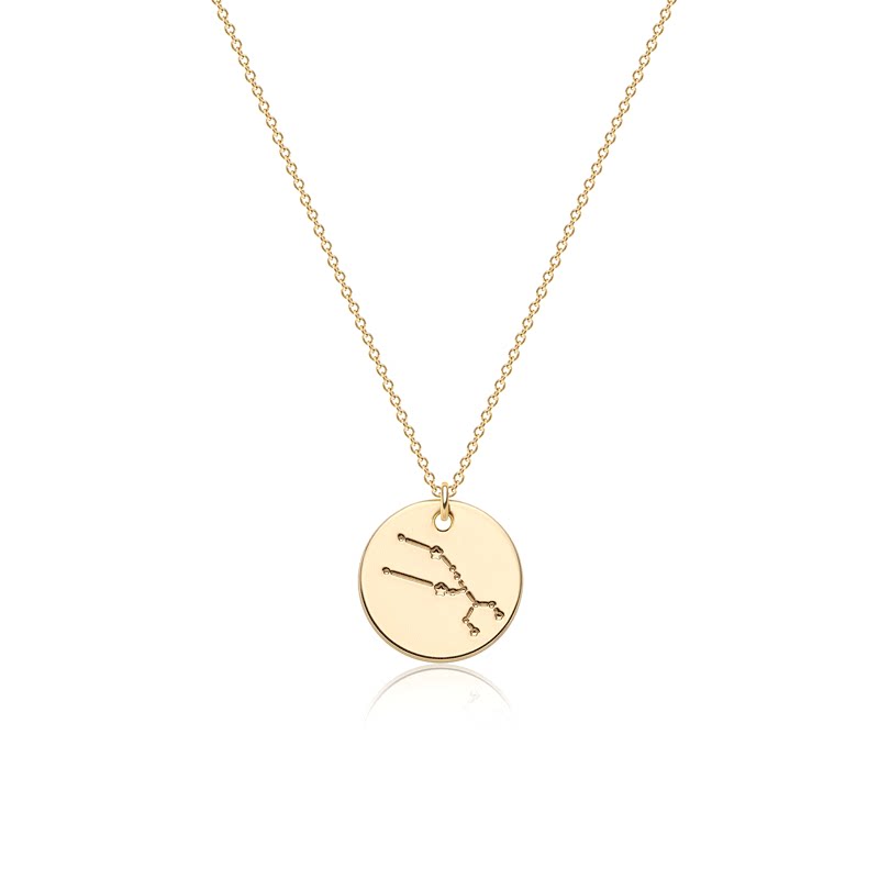  Constellation Coin Pendant Necklace in 14K Gold Plated - friendship necklace gift from Bestie Keepsake